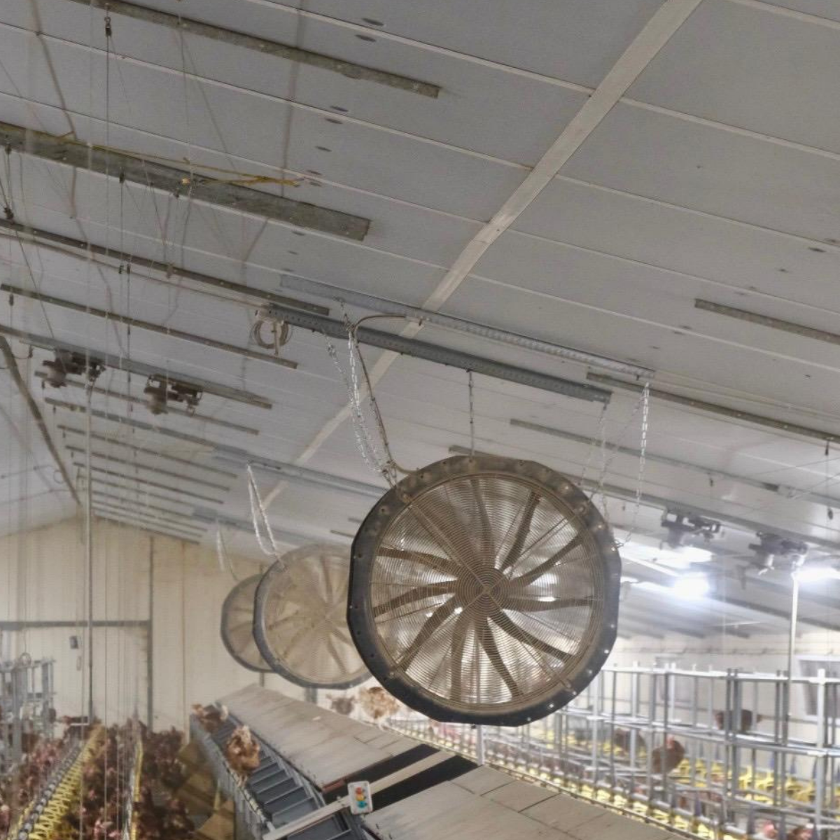 Gaec du haut Courtoisy (3)