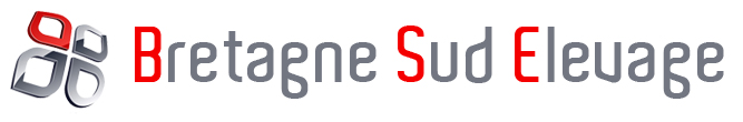 logo BSE