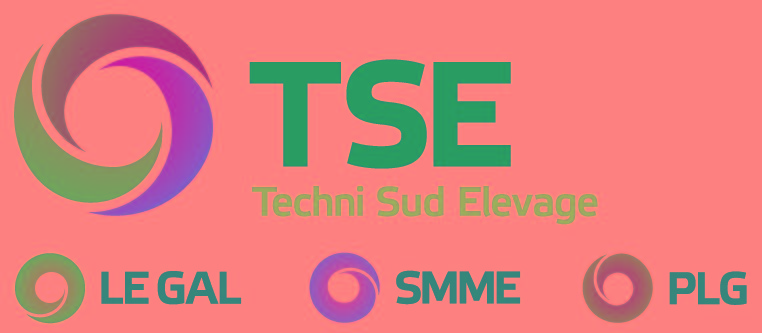 Logo TSE + 3 Ets