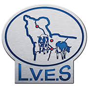 L.V.E.S. LOGO