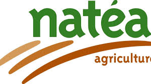 NATEA logo
