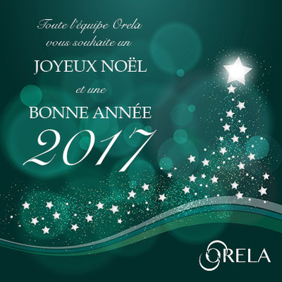 Joyeux Noël - Bonne année 2017 - orela