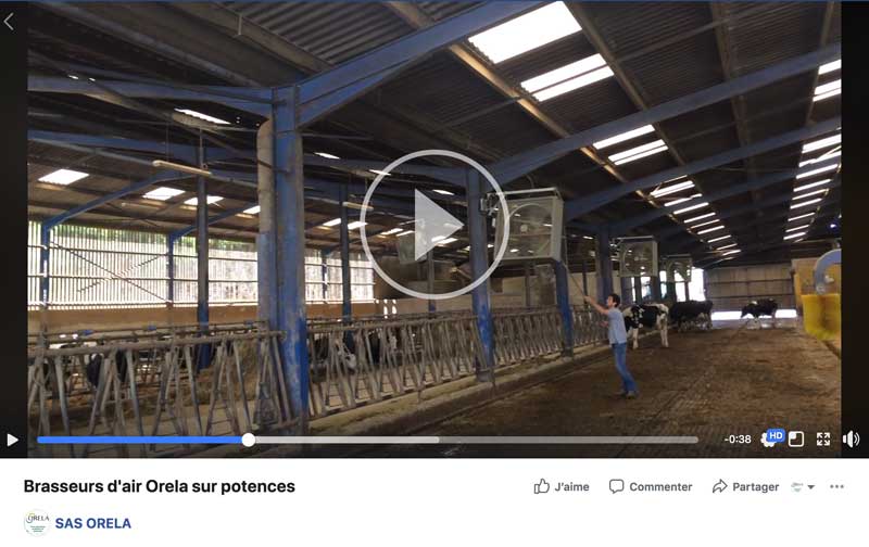 video-facebook-actualités